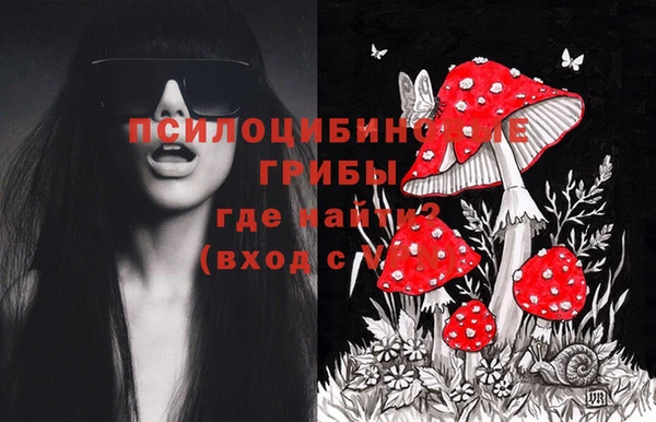 соль ск Медногорск