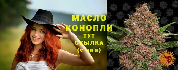 соль ск Медногорск